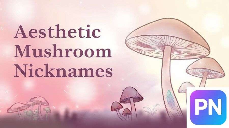 Mushroom Nicknames