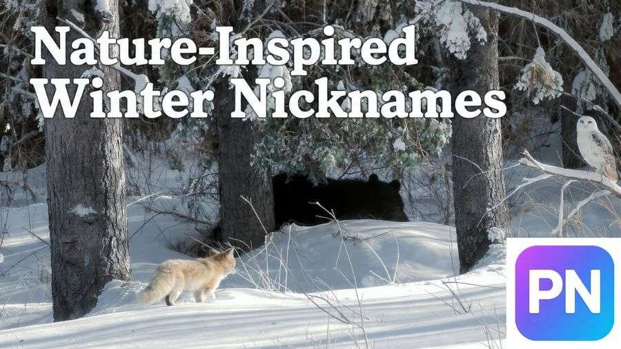 Winter Nicknames