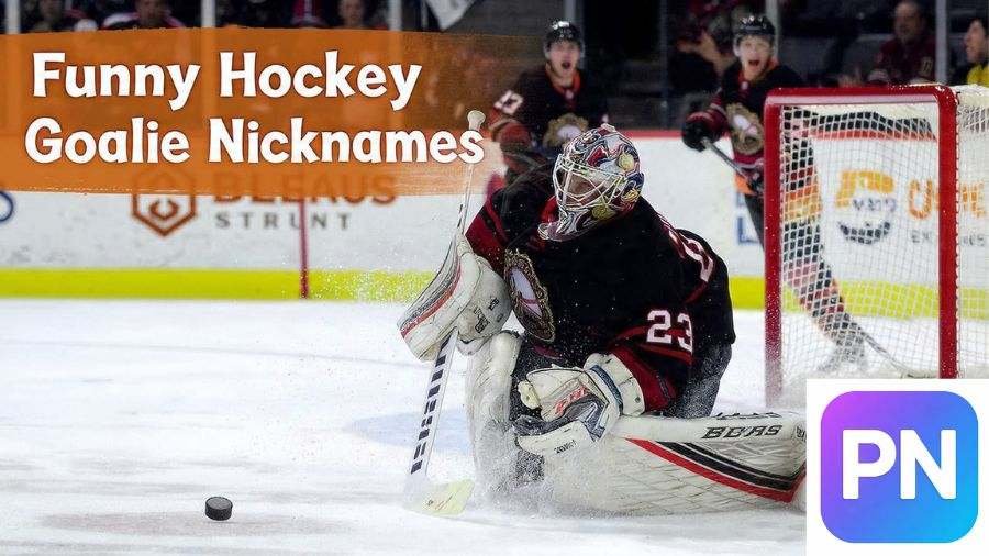 Hockey Goalie Nicknames