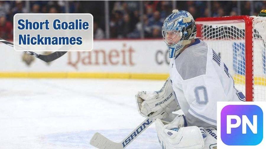 Hockey Goalie Nicknames