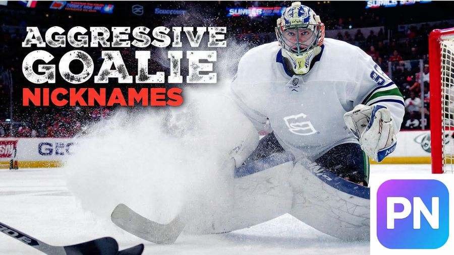 Hockey Goalie Nicknames