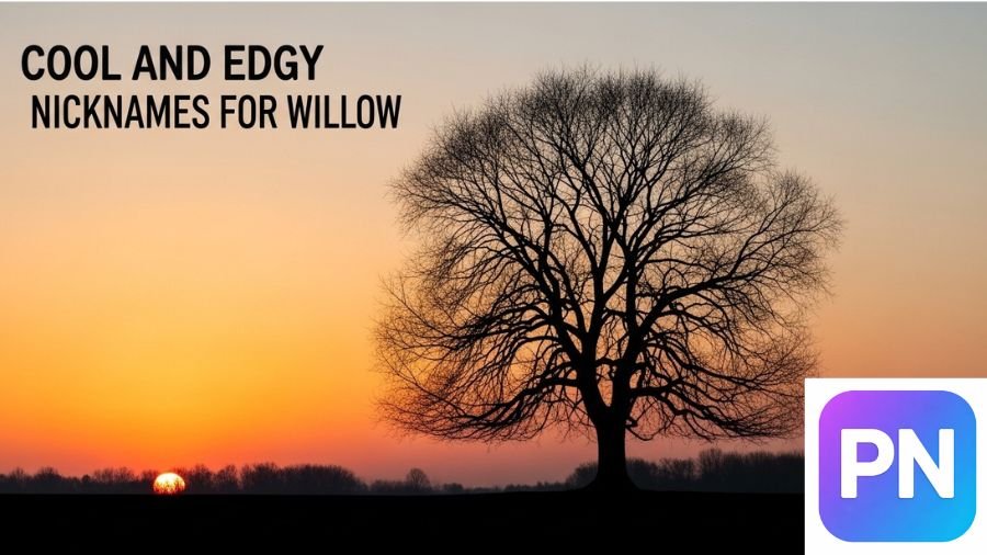 Nicknames for Willow