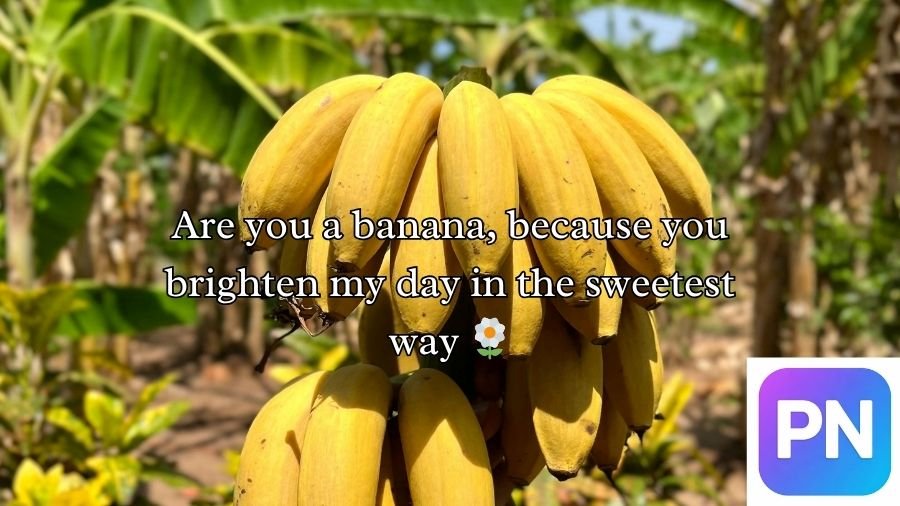 Banana Pick Up Lines