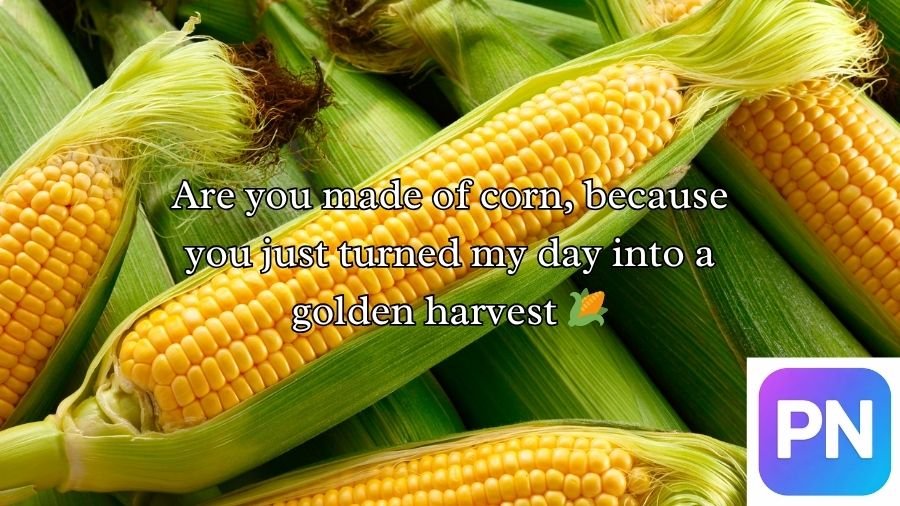 Corn Pick Up Lines