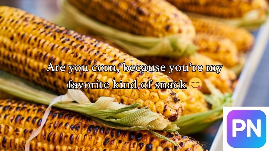 Corn Pick Up Lines