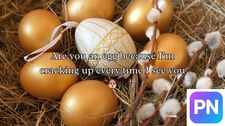 Egg Pick Up Lines