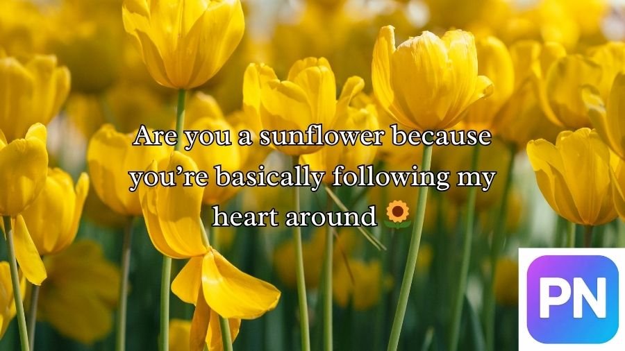 Flower Pick Up Lines