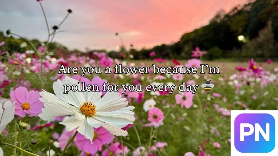 Flower Pick Up Lines