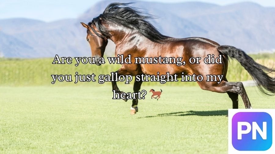 Horse Pick Up Lines