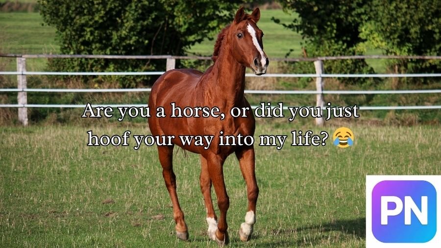Horse Pick Up Lines