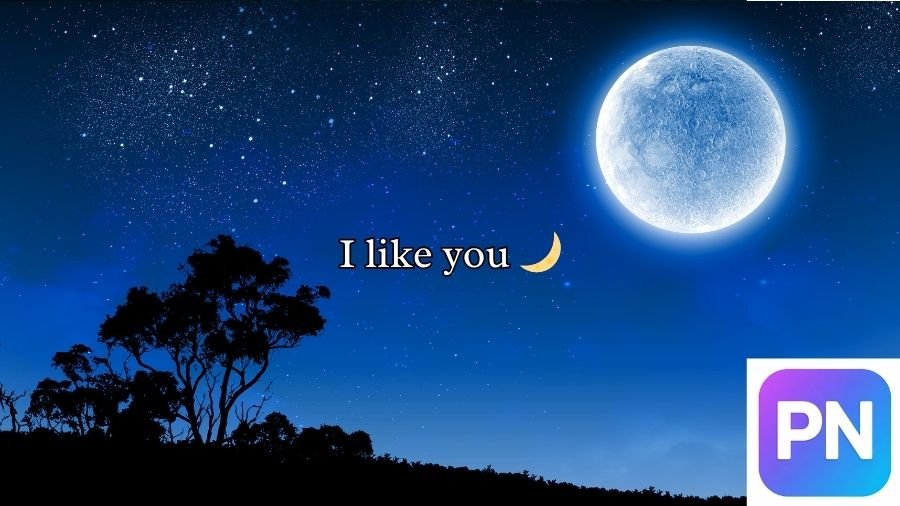 Moon Pick Up Lines