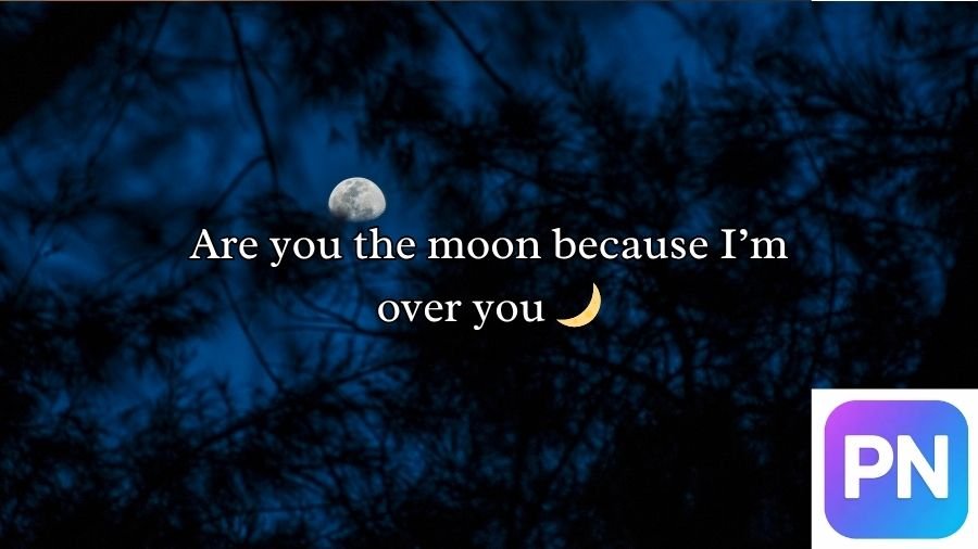 Moon Pick Up Lines