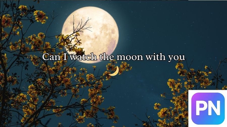 Moon Pick Up Lines