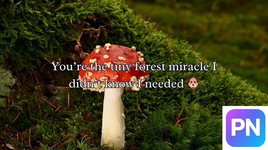 Mushroom Pick-Up Lines