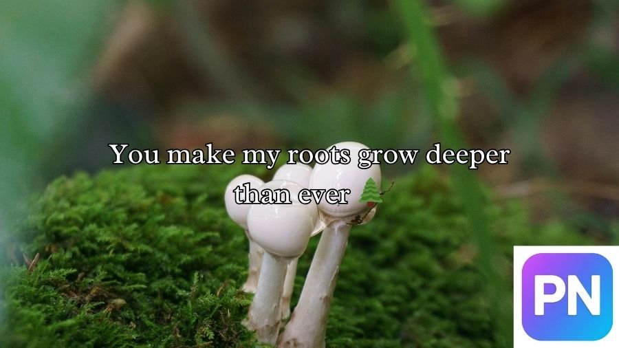 Mushroom Pick-Up Lines