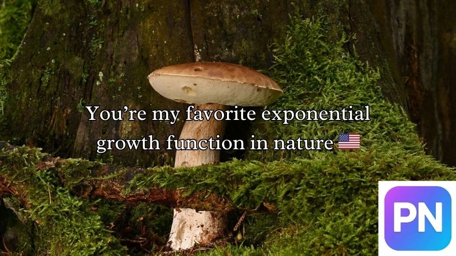 Mushroom Pick-Up Lines