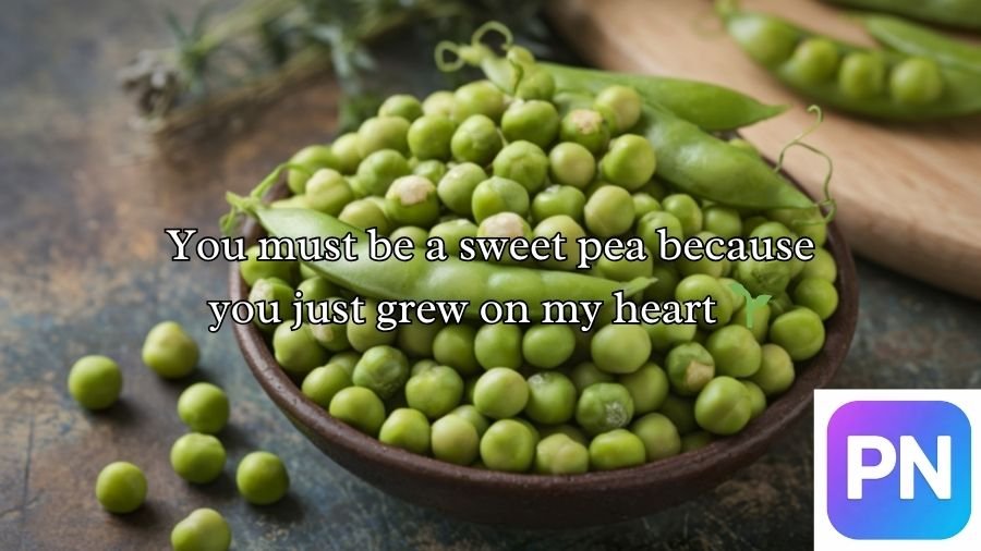 Pea Pickup Lines