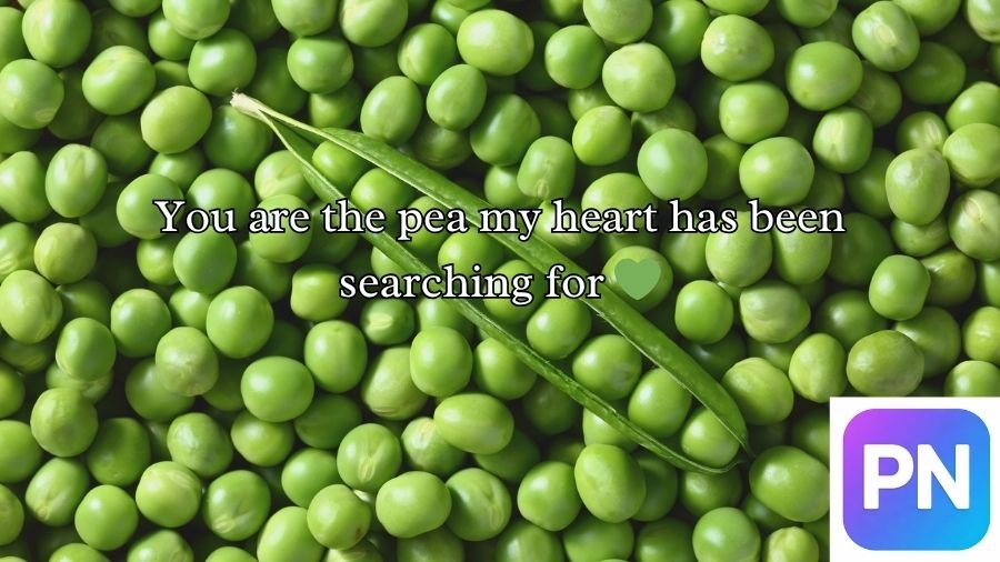 Pea Pickup Lines