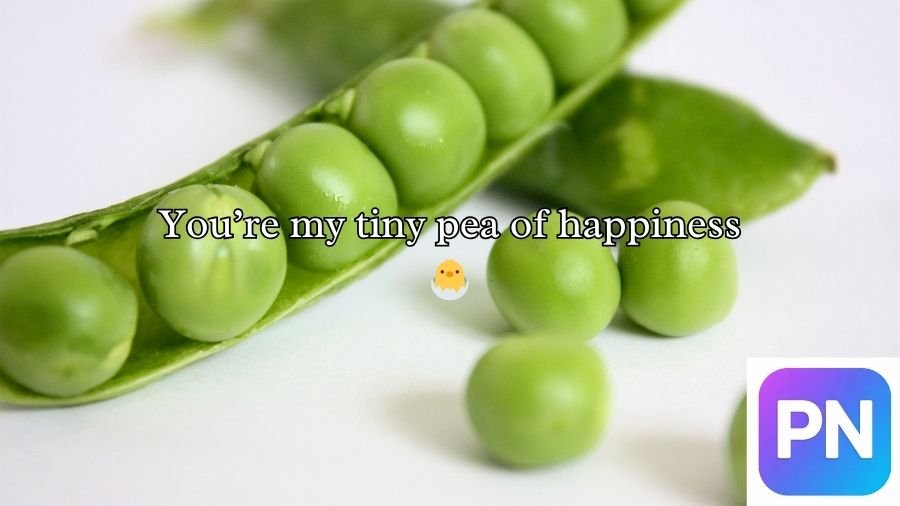 Pea Pickup Lines