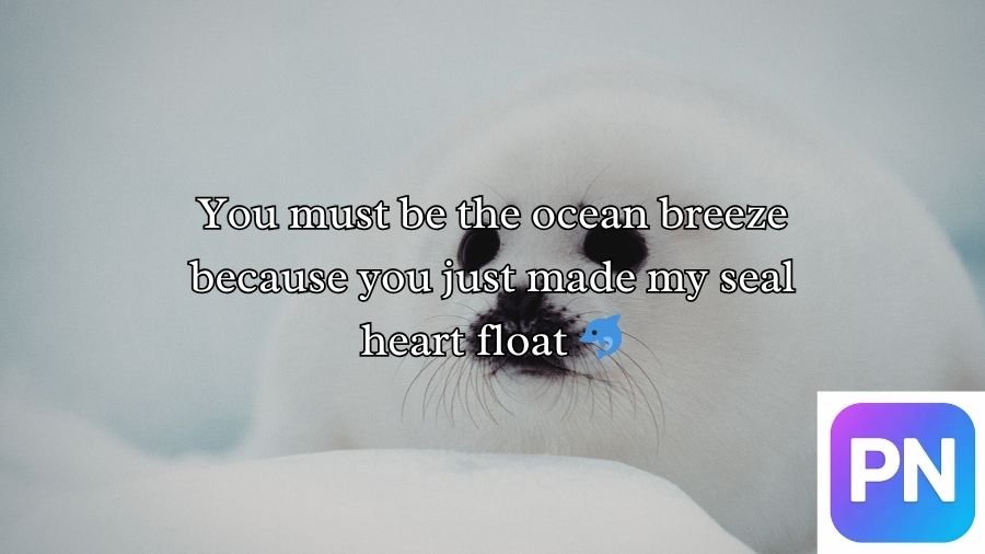 Seal Pickup Lines