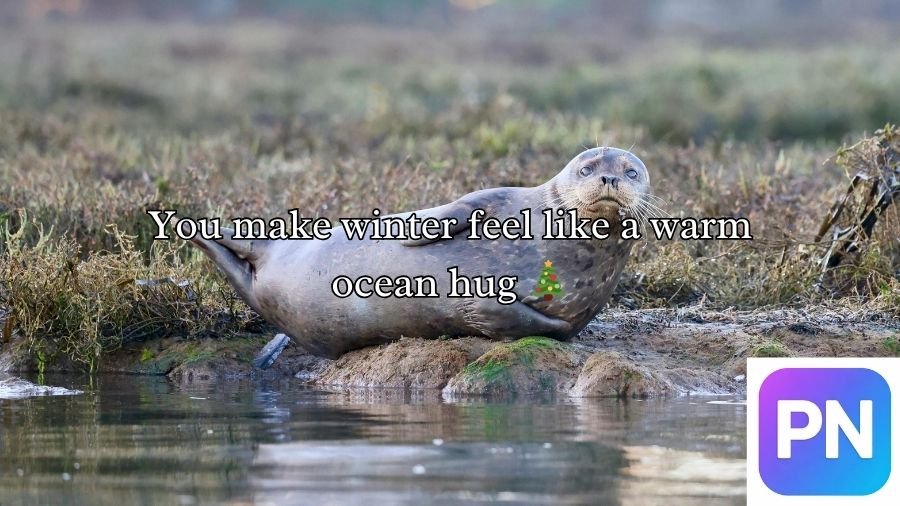 Seal Pickup Lines