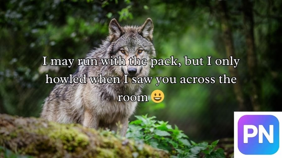 Wolf Pick Up Lines