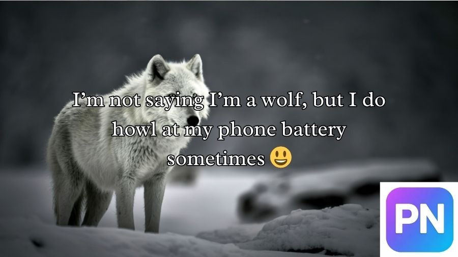 Wolf Pick Up Lines