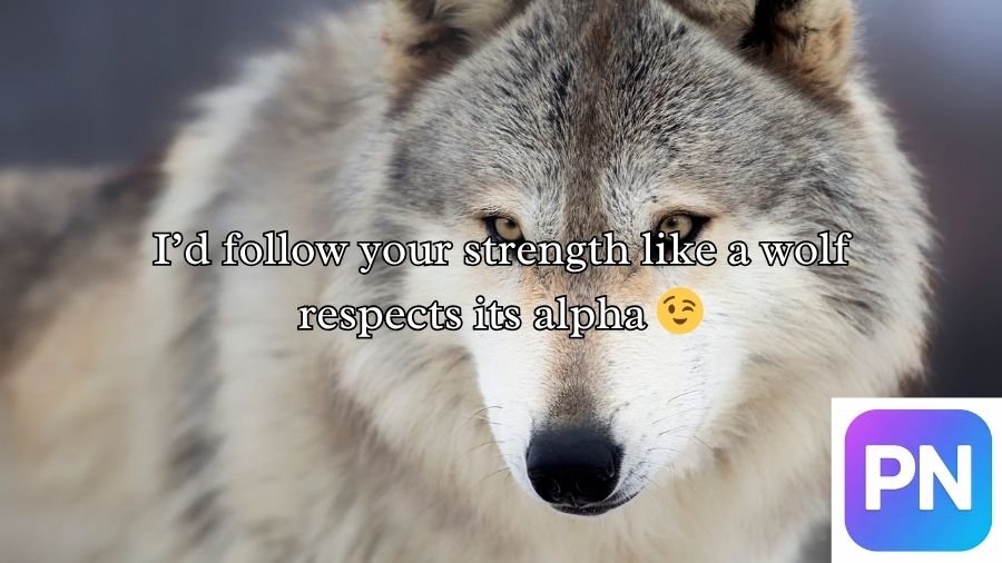 Wolf Pick Up Lines
