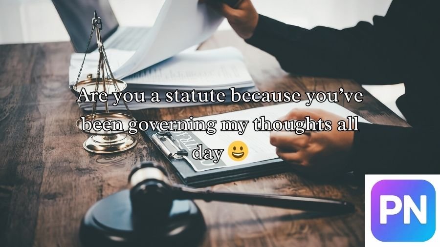 Lawyer Pick Up Lines