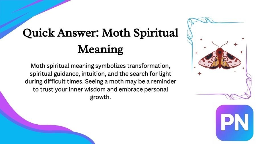 Moth Spiritual Meaning