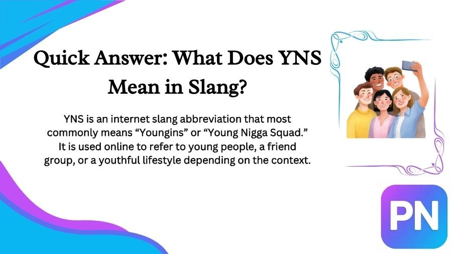 YNS Meaning Slang