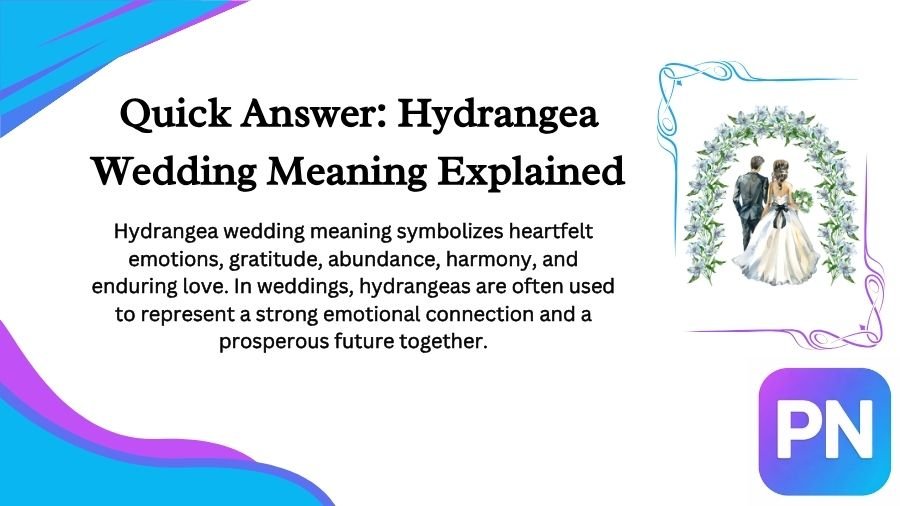 Hydrangea Wedding Meaning