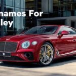 Nicknames For Bentley