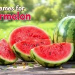Nicknames for Watermelon