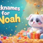Nicknames for Noah