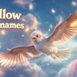 Taillow Nicknames