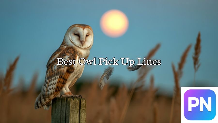 Best Owl Pick Up Lines