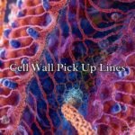 Cell Wall Pick Up Lines