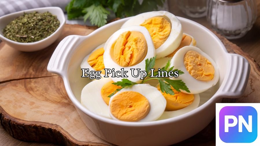 Egg Pick Up Lines