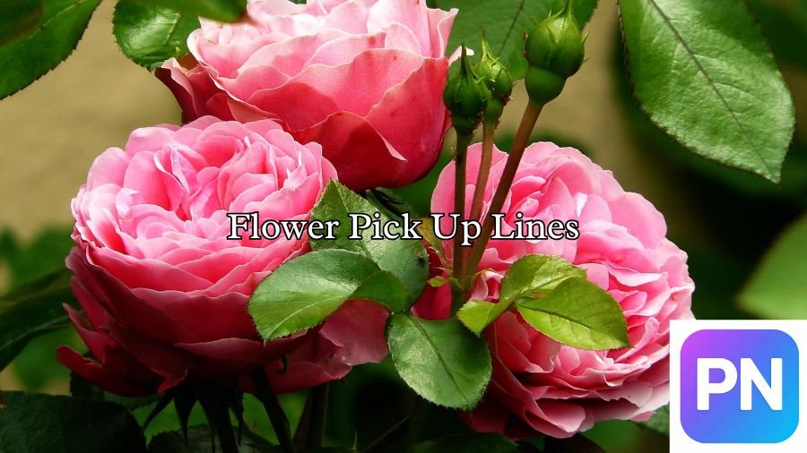 Flower Pick Up Lines