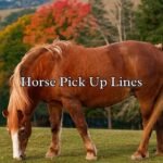 Horse Pick Up Lines