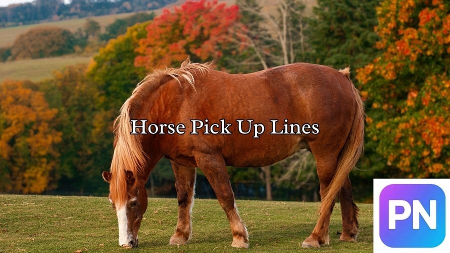 Horse Pick Up Lines
