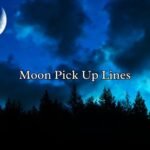 Moon Pick Up Lines
