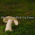 Mushroom Pick-Up Lines