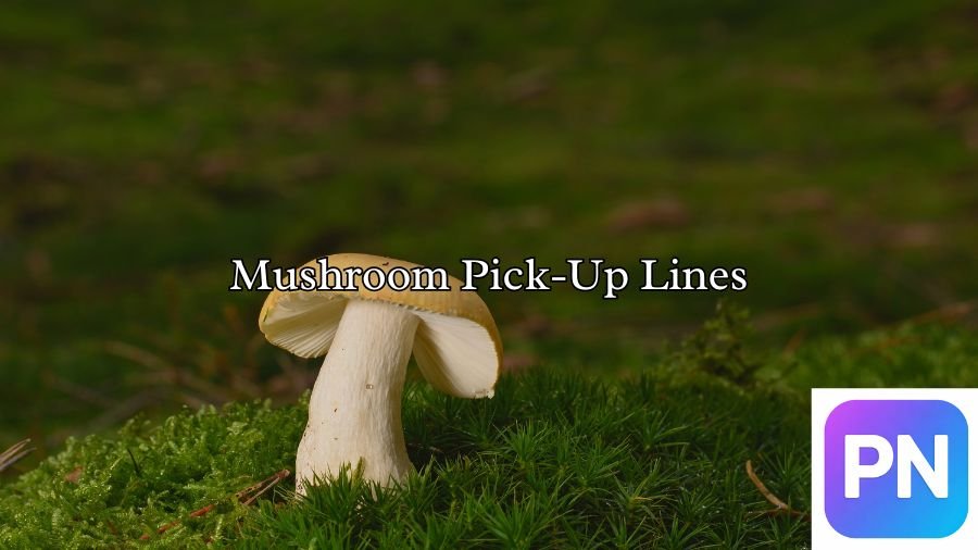 Mushroom Pick-Up Lines