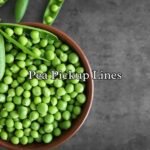 Pea Pickup Lines