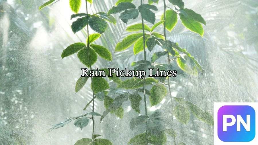 Rain Pickup Lines