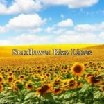 Sunflower Rizz Lines