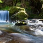 Water Pick Up Lines