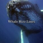 Whale Rizz Lines